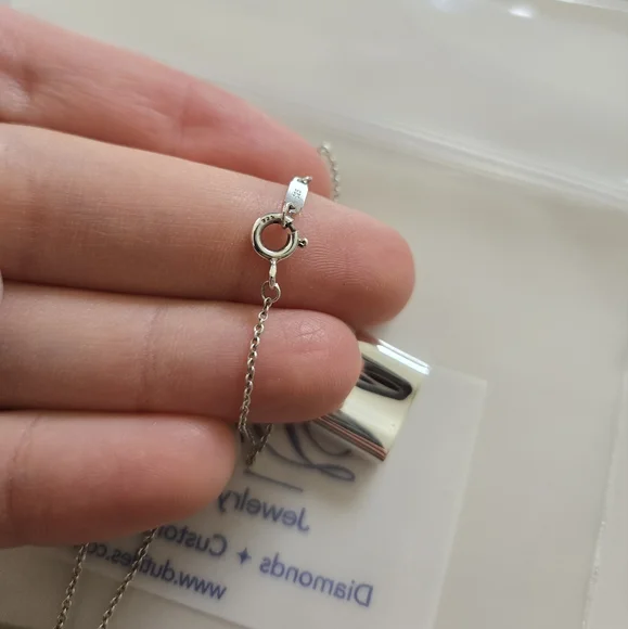 Pristine Authentic Tiffany & Co. Padlock Charm Pendant Necklace - Picture 10 of 13